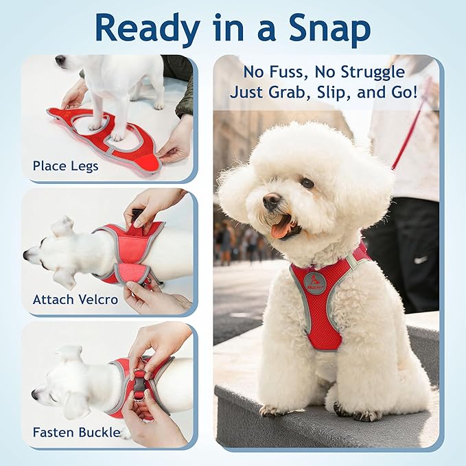 Kruz Dog Harness (Chest 13.5"-14", Weight 4–6 lbs) Athletica Adjustable Heavy Duty No Choke Puppy Vest for Small Dogs Lightweight Air Mesh, Reflective, Puppy Essentials – Red, X-Small