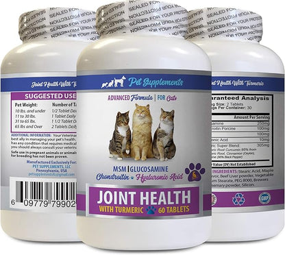 Joint Relief for Cats - Cats Joint Health with Turmeric - MSM - Natural Support for Hip and Joints - pet glucosamine chondroitin for Cats - 1 Bottle (60 Tablets)