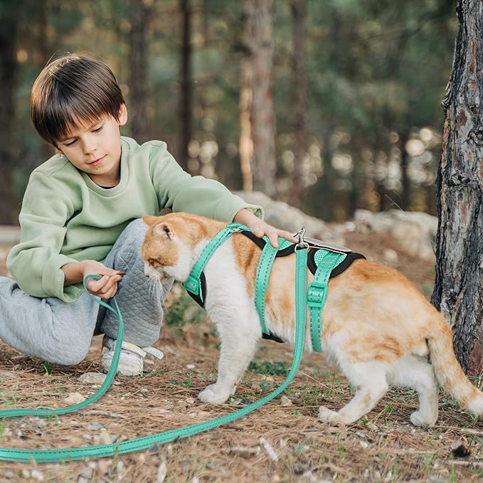 Cat Harness for Walking, Escape Proof Cat Harness and Leash Set with Reflective Strip, Adjustable Cat Leash Breathable Soft Vest for Small to Large Cats, Green, S