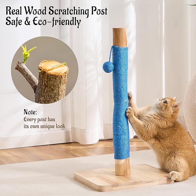 29" Tall Cat Scratching Post for Indoor Cats Adults, Extra-Stable & Natural Solid Wood Scratching Post Sisal Scratcher with Hanging Funny Ball, Blue