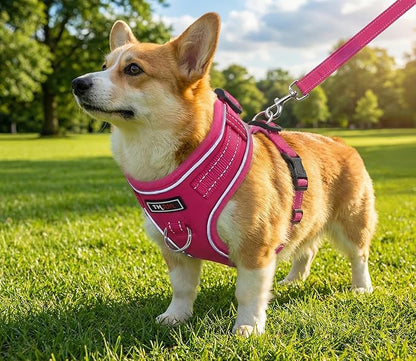 THAIN Reflective Dog Harness & Leash Set – No-Pull Design, Adjustable & Comfortable for Small Dogs (XS, Solid Rose red)
