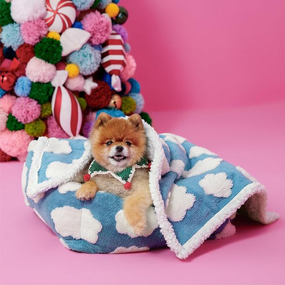 LE SURE Waterproof Puppy Blanket for Small Dogs - Washable Double Sided Dog Blankets with Warm Jacquard Shag and Soft Sherpa Fleece, Pet Cat Blanket for Couch Protection, 3D Textured Cloud, Blue