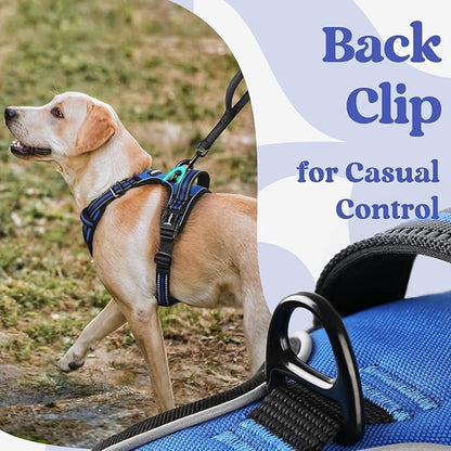 rabbitgoo Dog Harness for Large, No Pull Pet Harness with 3 Buckles, Adjustable Soft Padded Vest with Control Handle, Walking Reflective Pet Vest for Large Dogs, Blue, L