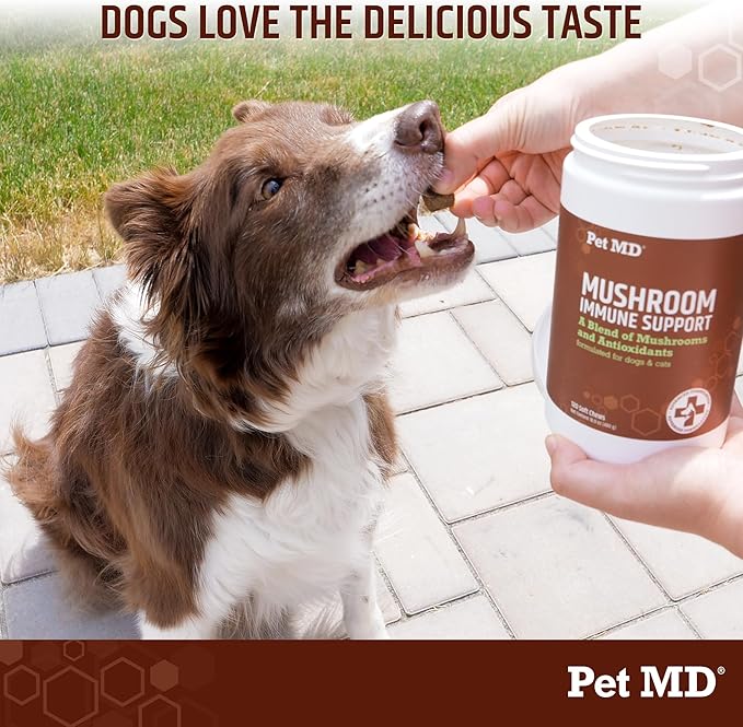 Pet MD Mushroom Immune Support for Dogs & Cats - Turkey Tail Mushroom Immune Support Supplement - Milk Thistle with CoQ10 for Dogs & Cats - Immunity Supplement for Pets - 120 Chews