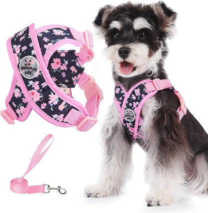 Patas Lague Dog Harness with Leash Set Adjustable Soft Padded Step-in Dog Vest No Choke No Pull Reflective for Small Medium Pets with Poop Bags and Dispenser, Solid and No-chew, Floral Pink S