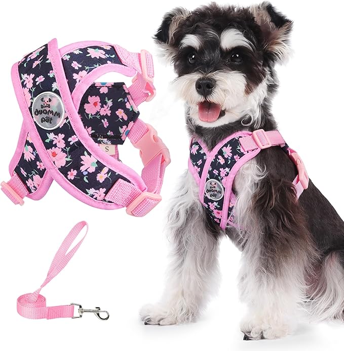 Patas Lague Dog Harness with Leash Set Adjustable Soft Padded Step-in Dog Vest No Choke No Pull Reflective for Small Pets with Poop Bags and Dispenser, Solid and No-chew, Floral Pink XS