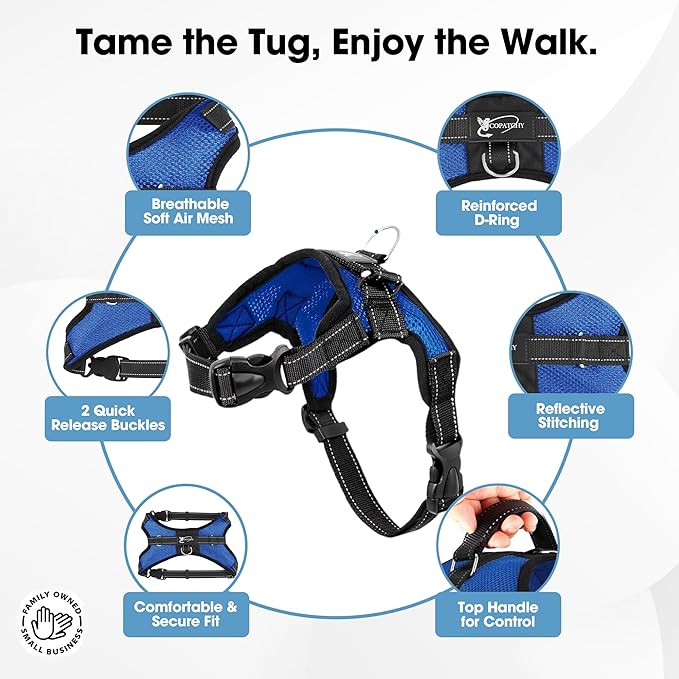 No Pull Reflective Adjustable Dog Harness With Handle- Comfortable Soft All Weather Mesh, Easy On Puppy Harness For Small Medium and Large Dogs (Blue) X-Small