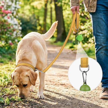 Joytale Dog Leash, 5 FT Double-Sided Reflective, Padded Handle Nylon Heavy Duty Leashes for Medium & Large Dogs Walking, Khaki