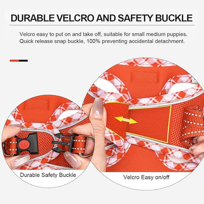 Mercano Soft Mesh Dog Harness and Leash Set, No-Chock Step-in Reflective Breathable Lightweight Easy Walk Vest Harnesses with Safety Buckle for Small Dogs, Cats (Tangerine, M)