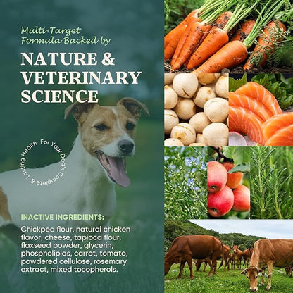 Dog Allergy Chews Omega 3 is Human,Itch Relief Multivitamin Medicine for Dogs Itching Skin Relief and Aller Immune Pet Allergy Dog Anti Itch Chews Coat Licking Supplements Pills Meds Medicine for Dogs