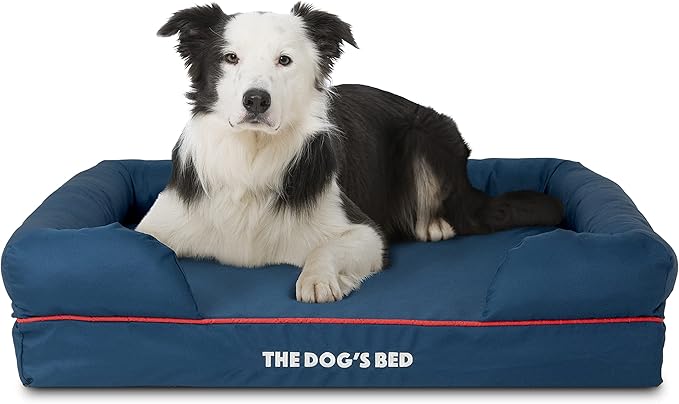 The Dog’s Bed Orthopedic Memory Foam Dog Bed with Bolsters for Large Dogs, High Density Support Mattress, Low Front Entry, Removable Washable Cover, Oxford Fabric, Blue with Dark Red Trim, Large