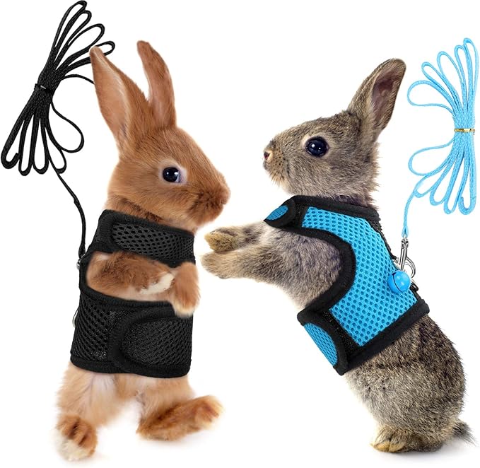 SATINIOR 2 Sets Guinea Pig Harness and Leash Adjustable Soft Mesh Harness Bell No Pulling Comfort Vest for Baby Ferret Rats Hamster Bunny Rabbit Chinchilla and Small Pet(Blue, Black,M)