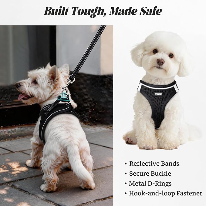 YIMEIS Dog Harness and Leash Set, No Pull Soft Mesh Pet Harness, Reflective Adjustable Puppy Vest for Small Dogs, Cats (M, Black) fit Small
