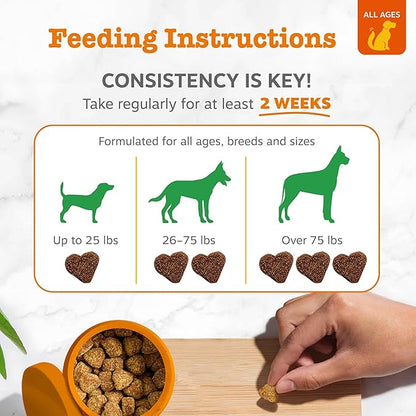 Zesty Paws Chew No Poo Bites for Dogs - Coprophagia Relief - Stool Eating Deterrent Soft Chews for Dogs - Gut, Periodontal & Immune System Support with Probiotics - Chicken - 90 Ct