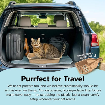 Kitty Sift Disposable Cat Litter Box Large, 6 Count, Durable Portable for Travel and Home, Eco-Friendly Disposable Litter Box Controls Odor