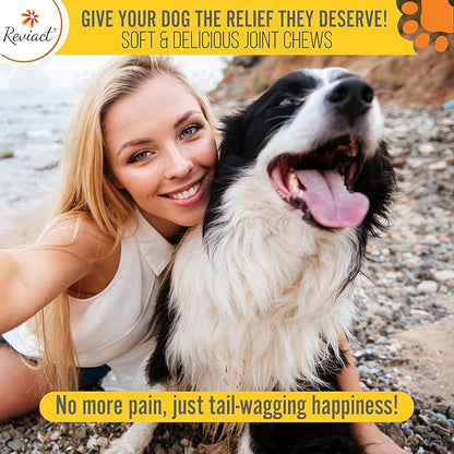 Advanced Canine Joint Supplement – Joint Care for Dogs – Active Dog Supplement with Devil’s Claw Boswellia & Turmeric – Tasty Dog Supplement for All Dog Breeds and Ages