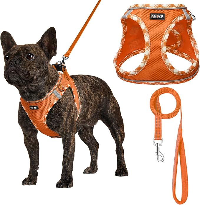 AMTOR Small Dog Harness with Leash Set, No Escape Easy Walk Puppy Harnesses for Training Walking, Step-in Reflective Soft Dogs Vest for XS S Medium Extra-Small Large Sized Dog(M Size,Orange/White)