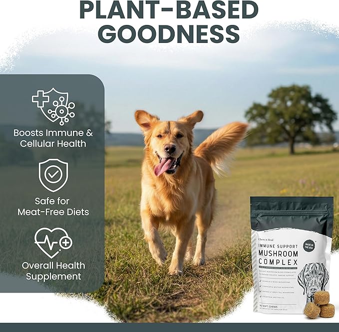 Immune Support Mushroom Complex, 90 Soft Chews - Mushroom Supplement for Dogs with Organic Turkey Tail, Shiitake, Reishi, Colostrum, and Fish Oil - Made in the USA