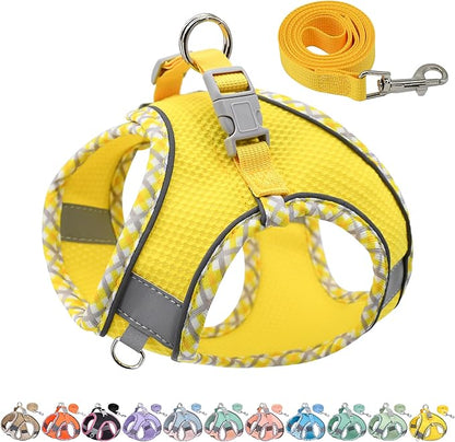 AIITLE XXS Dog Harness & Leash Set - Breathable Reflective No-Choke Small Dog Harness for Teacup Puppies, Indoor/Outdoor Use - Boston Terrier, Maltese, Chihuahua (Yellow, XXS)