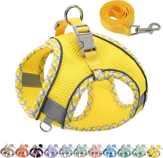 AIITLE XXS Dog Harness & Leash Set - Breathable Reflective No-Choke Small Dog Harness for Teacup Puppies, Indoor/Outdoor Use - Boston Terrier, Maltese, Chihuahua (Yellow, XXS)