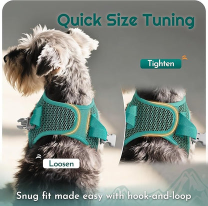 Eagloo Small Dog Harness and Leash Set, Step in Puppy Vest with Breathable Soft Mesh, Walking Reflective Pet Harness for Small Dogs, Forest Green, S