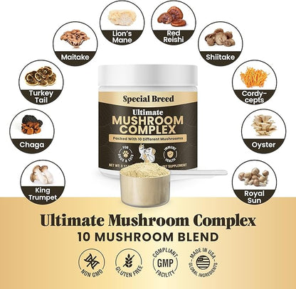 Mushroom Powder for Dogs & Cats - Organic Mushroom Complex for Immune Support, Cognition, Vitality - Ten Mushroom Supplement with Turkey Tail, Lion's Mane, Reishi - 180 Scoops