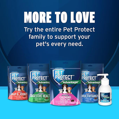 Pet Protect Fast-Acting Calming Supplement for Dogs, Vet-Formulated Tranquilify, Chicken-Flavored Soft Chews (60 Count)