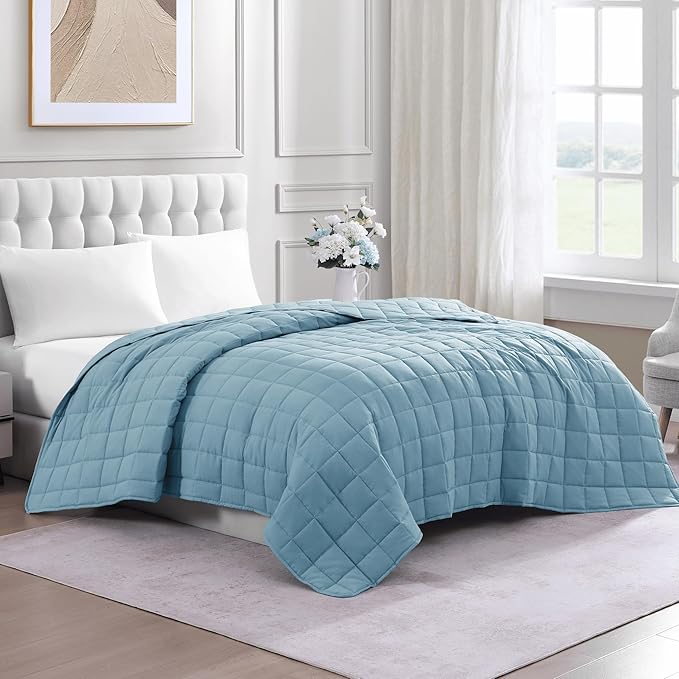 Casa Platino Pre-Washed Microfiber Down Alternative Quilted Blanket - All Season Queen Size - French Blue