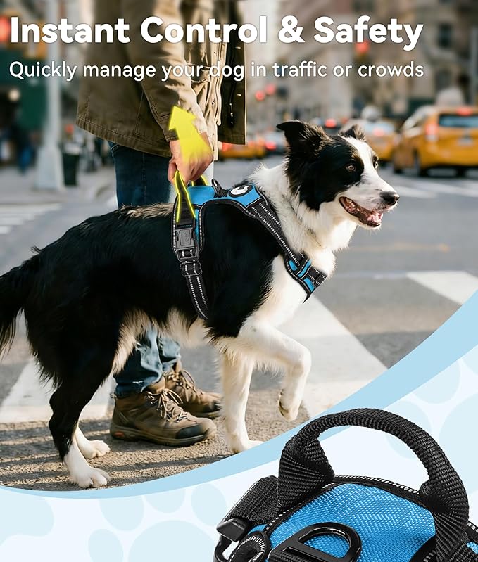 Joytale No Pull Dog Harness for Small Dogs, Reflective Pet Vest with Front Clip, Adjustable Soft Padded Harnesses with Easy Control Handle for Training and Walking, Sky Blue, S