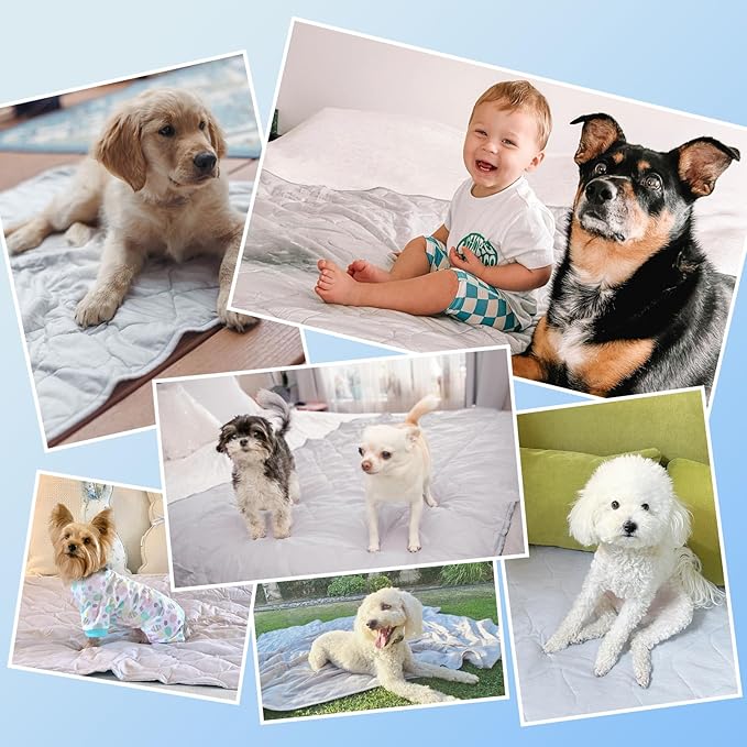 Rywell Cooling Blanket for Dogs, Large Dog Cooling Mat Q-Max>0.5, Durable&Versatile with Cooling&Soft Surfaces for All Seasons,Waterproof Protect Sofa Bed,32 * 44IN Washable Dog Blanket