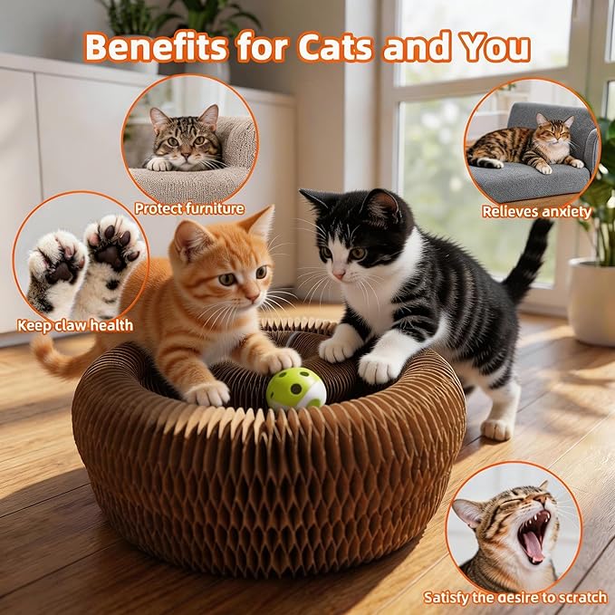 Twisty Paws Cat Toy - 2 Pack Magic Organ Kitty Curl Scratcher, Interactive Magnetic Cardboard Shape Shifting, Reversible Accordion Kurlz Board with Bell-Ball for Indoor Cats