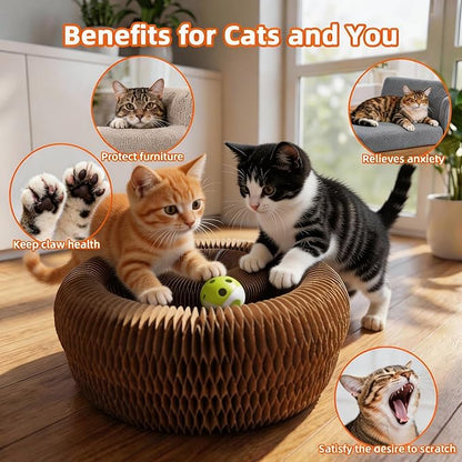 Twisty Paws Cat Toy - 2 Pack Magic Organ Kitty Curl Scratcher, Interactive Magnetic Cardboard Shape Shifting, Reversible Accordion Kurlz Board with Bell-Ball for Indoor Cats
