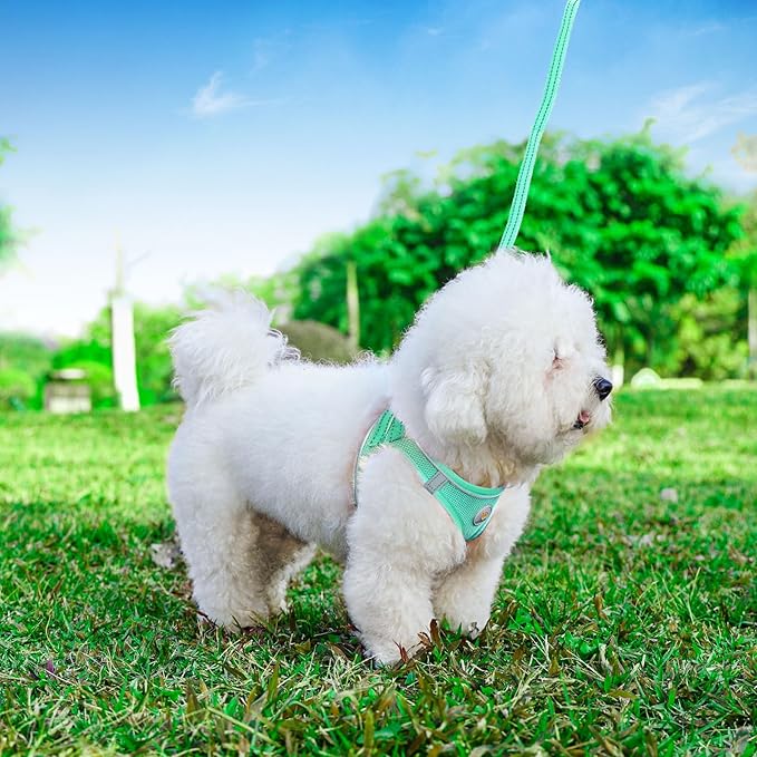 Hipubby Dog Harness and Leash Set, No Pull Soft Mesh Puppy Harness for Small Medium Dogs, Cats - Step in Reflective Breathable Lightweight Vest Harness for Walking, Training - Green, XXS