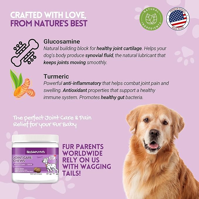 HERBION Pets Joint Care Chews with Glucosamine & Turmeric, 120 Soft Chews, MSM & Chondroitin for Pain Relief, Improves Mobility, Supports Healthy Joints, Made in USA, for Dogs 12 Weeks+, Pack of 1