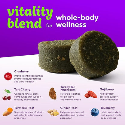 VitaFusion for Dogs Superfood Multivitamin – Daily Immune, Skin & Bone Support with Vitamins A, D & E + Antioxidant Superfoods – Vet Formulated Wellness for Puppies to Senior Dogs, 120 Chews.