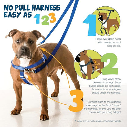 2 Hounds Design Freedom No Pull Dog Harness, Adjustable Harness and Leash Set, Easy Walking & Comfortable Control, Fits Small, Medium & Large Dogs, Solid Colors, Made in USA, 1" MD, Yellow
