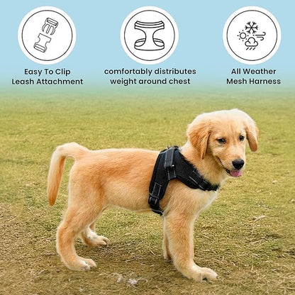 No Pull Reflective Adjustable Dog Harness with Handle- Comfortable Soft All Weather Mesh, Easy On Puppy Harness for Small Medium and Large Dogs (Black) XX-Small