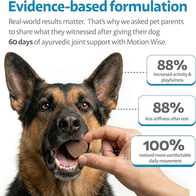 Hip and Joint Chews for Dogs with Stiff Joints & Mobility – Natural Boswellia, Ashwagandha & Turmeric Herbal Holistic Support – Pork Flavor – 90 Count