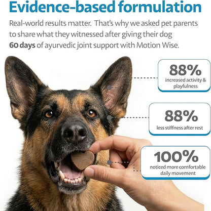 Hip and Joint Chews for Dogs with Stiff Joints & Mobility – Natural Boswellia, Ashwagandha & Turmeric Herbal Holistic Support – Pork Flavor – 90 Count