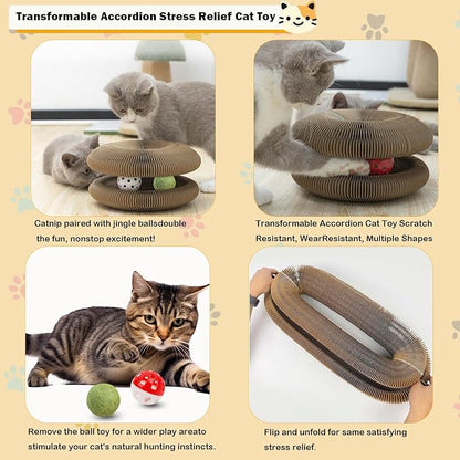 Kitty Kurlz Cat Toys Magic Organ Cat Scratcher Shape Shifting Cat Toy with Catnip Balls Cat Puzzle Toy Accordion Ultimate Interactive Kitten Toys for Indoor Cats