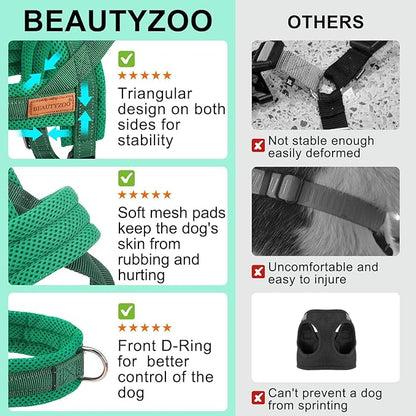 BEAUTYZOO Dog Harness for Small Dogs, No Pull Dog Harness and Leash Set, Soft Escape Proof Puppy Vest Harness with Handle, Reflective Lightweight Step in Harness for Girl Boy Dogs, Green XS