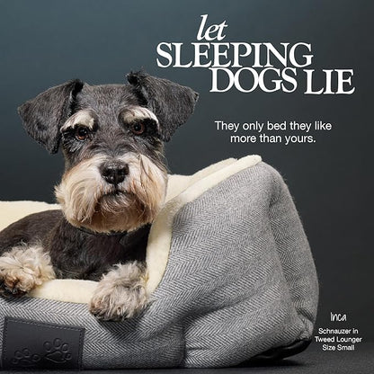 Pet Passion Mello- The Ultra Luxe Bolster Dog Bed with Removable Washable Pillow for All Pet Breeds, Charcoal Tweed, Small