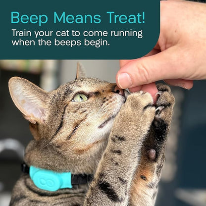 Tabcat V2 Cat & Kitten Tracker - No Monthly Subscription Fee | 4 Lightweight Homing Tags, Cases & Tracking Handset | More Accurate Than GPS | Track 4 Cats Indoors & Outdoors to 1" & 500 ft Range