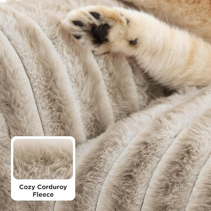 Bedsure ComfyFleece Cute Cat Couch for Pets - Fluffy Cat beds with Premium Soft Corduroy Fleece, Fuzzy Cats beds for Indoor Cats with Removable Washable Cover, Supportive Pet Sofa, 24inch, Amphora