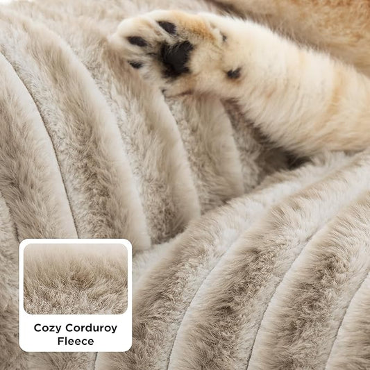Bedsure ComfyFleece Cute Cat Couch for Pets - Fluffy Small Dog Sofa with Premium Soft Corduroy Fleece, Pet Sofa with Washable Cover, Supportive Dog Couch Bed for Small Medium Dogs, 30inch, Amphora
