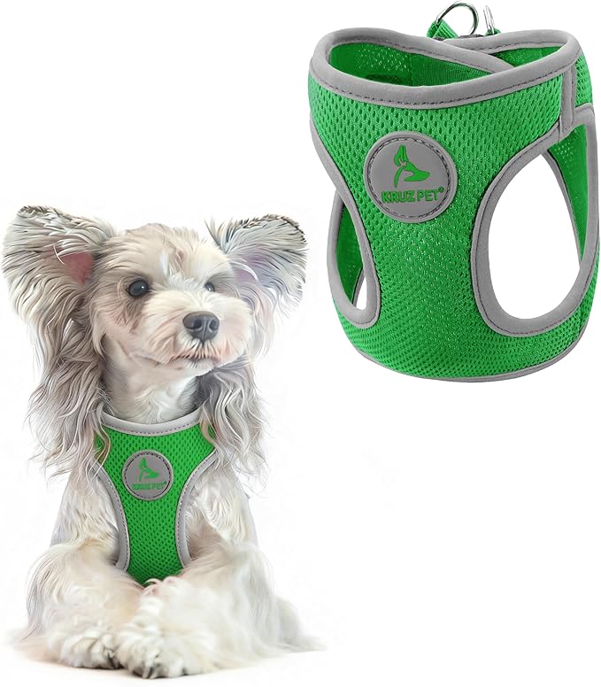 Kruz Dog Harness (Chest 13.5"-14", Weight 4–6 lbs) Athletica Adjustable Heavy Duty No Choke Puppy Vest for Small Dogs Lightweight Air Mesh, Reflective, Puppy Essentials – Mint Green, X-Small