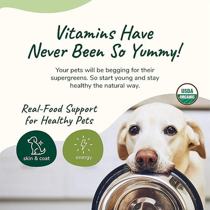 kin+kind Skin and Coat Supplement for Dogs & Cats – Natural Vitamin Supplements with Organic Ingredients for Shiny Fur, Moisturized Skin & Overall Pet Wellness – Dog Essentials & Cat Essentials – 4oz