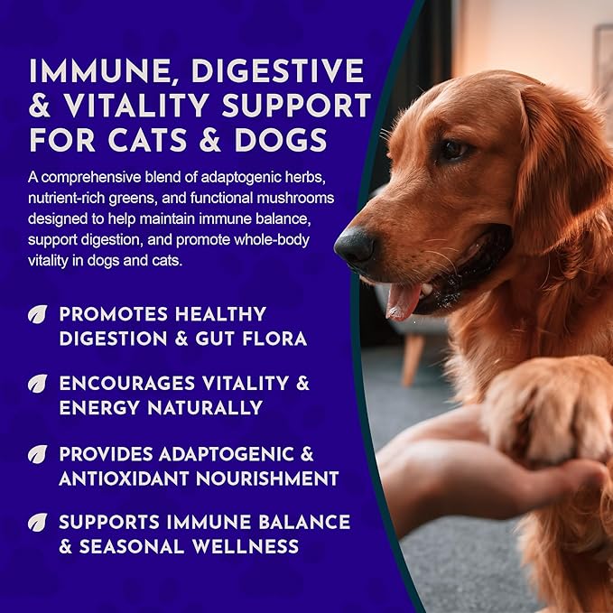 Animal Essentials Immuno-Thrive Wellness Powder for Dogs & Cats - All Natural Immune Support for Pets, Mushroom Blend, Promotes Healthy Skin & Coat, Life Extension Antioxidant Formula - 5.3 oz