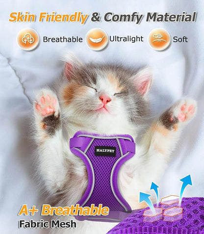 Halypet Cat Harness and Leash Set [MAX Safety 4th-Gen Upgrade] Escape Proof Adjustable Cat Leash Comfortable Soft Vest Easy to Wear Kitten Harness with Reflective Strip for Cats Walking, XS Purple