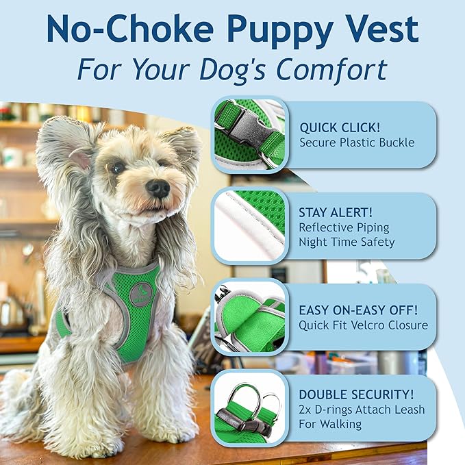 Kruz Dog Harness (Chest 13.5"-14", Weight 4–6 lbs) Athletica Adjustable Heavy Duty No Choke Puppy Vest for Small Dogs Lightweight Air Mesh, Reflective, Puppy Essentials – Mint Green, X-Small